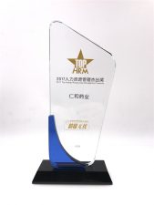 公司喜獲“2017人力資源管理杰出獎(jiǎng)”